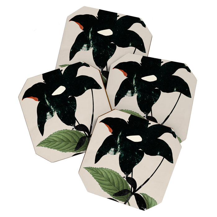 minimal collage/ Flower  Coaster Gallery Image 1