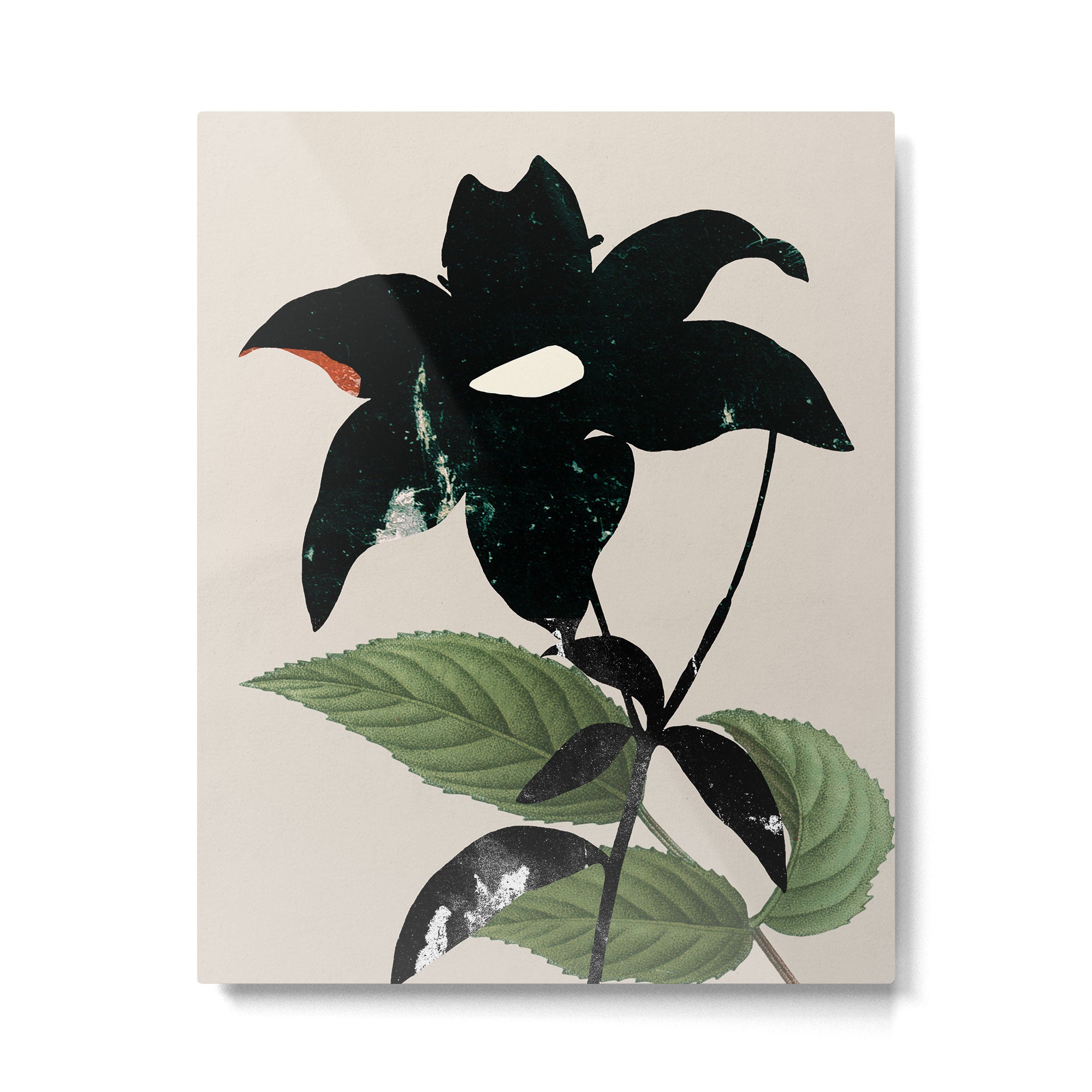 minimal collage/ Flower  Metal Print Gallery Image 4