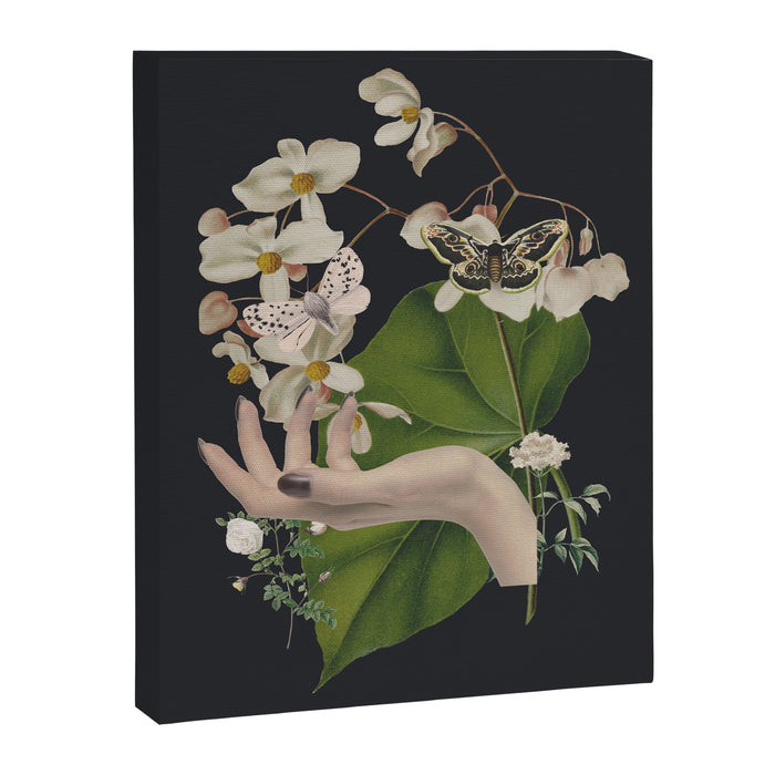 Minimal Collage/ Hand, Plants and Butterflies 6 Canvas Print Gallery Image 1