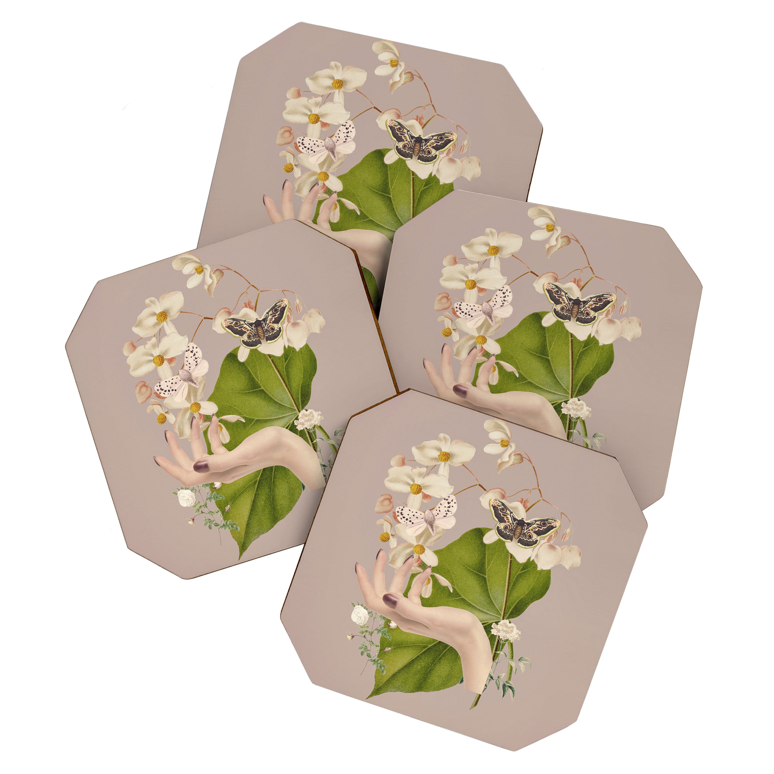 Minimal Collage/ Hand, Plants and Butterflies 8 Coaster Gallery Image 1