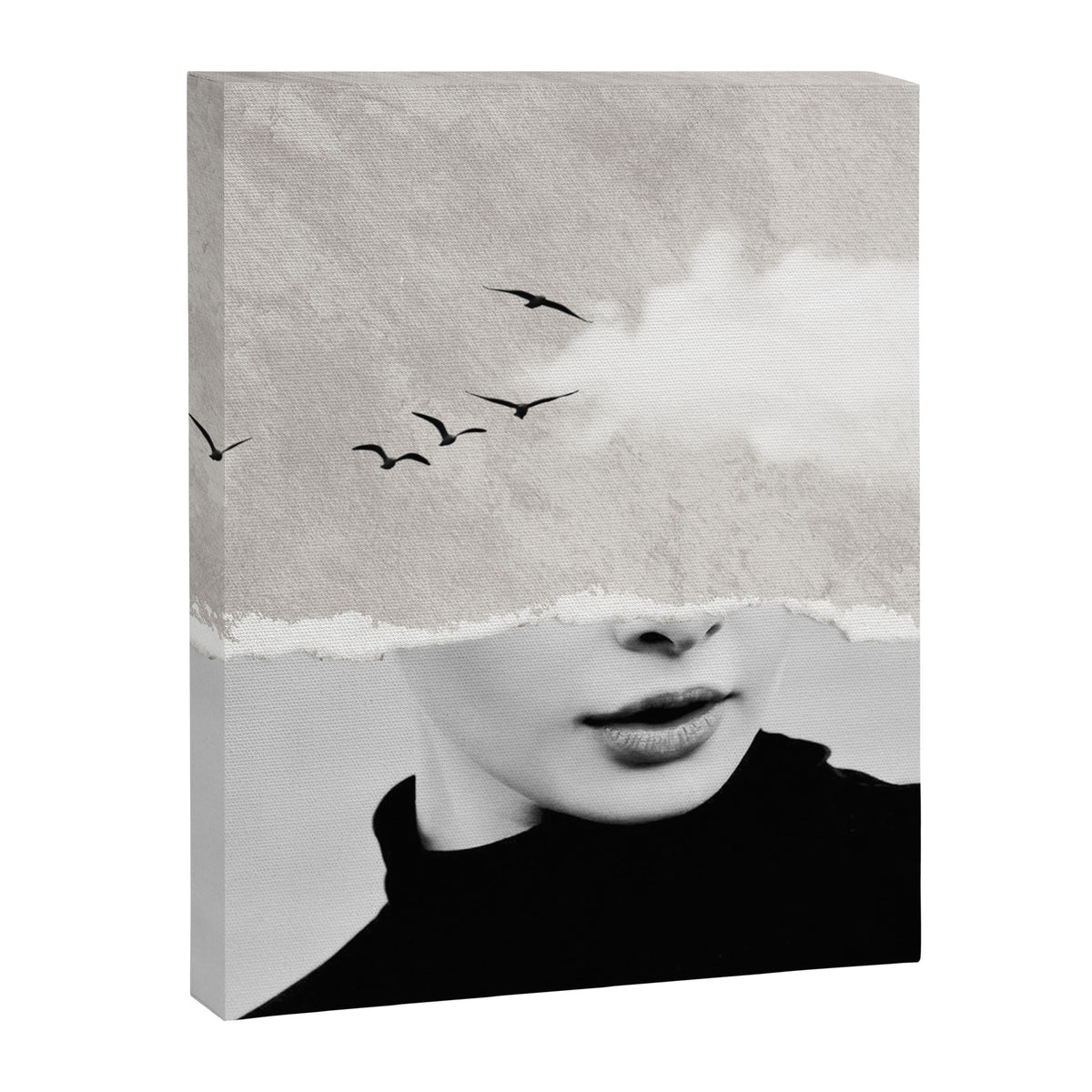 minimal collage /silence Canvas Print Gallery Image 6