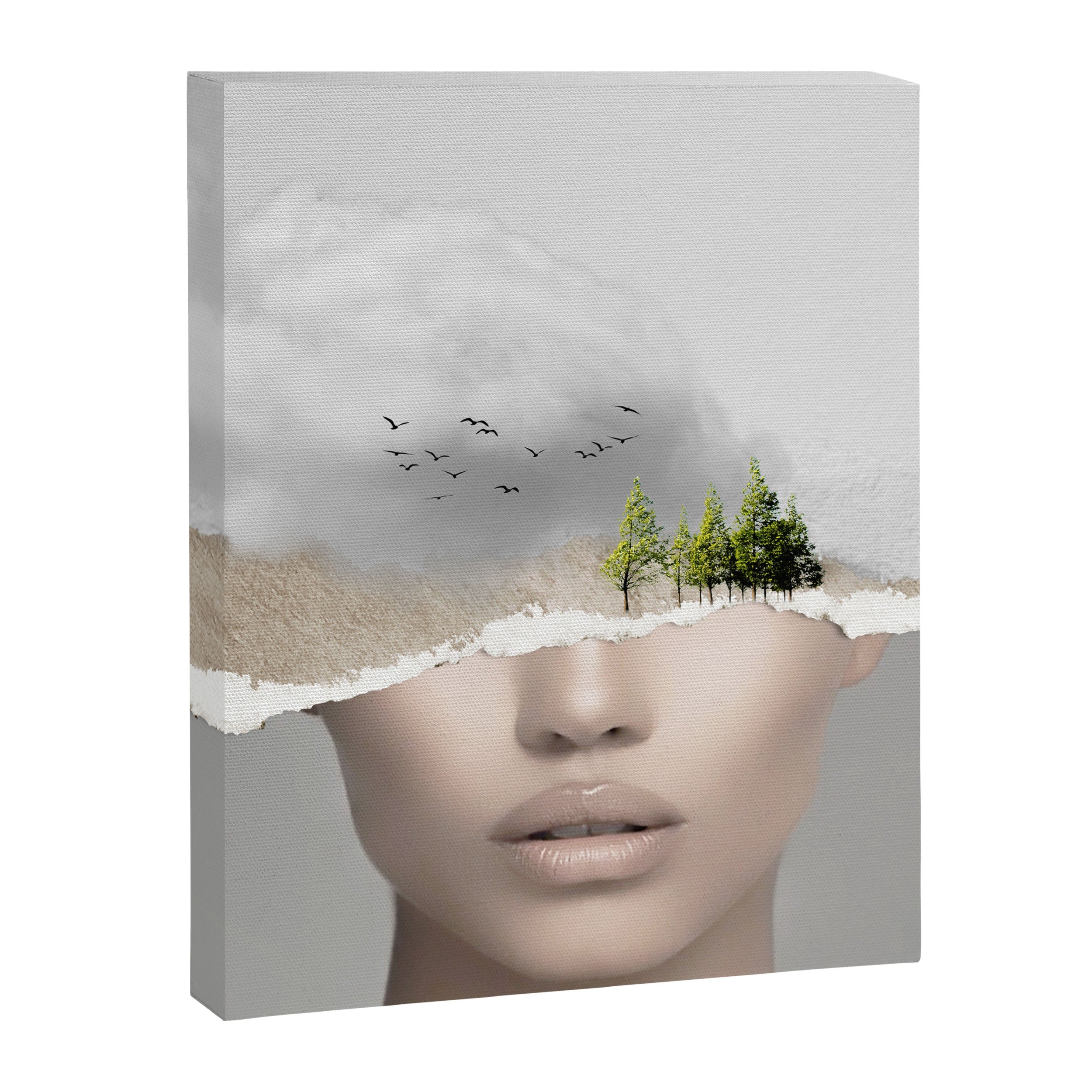 minimal collage /silence2 Canvas Print Gallery Image 6
