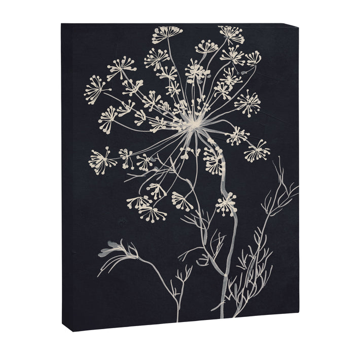 Minimalist Wild Plant 7 Black And White Canvas Print Gallery Image 1