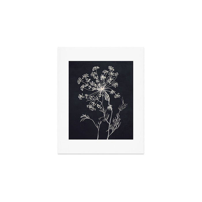 Minimalist Wild Plant 7 Black And White Art Print Gallery Image 1