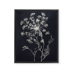 Minimalist Wild Plant 7 Black And White Framed Canvas Print Gallery Image 6