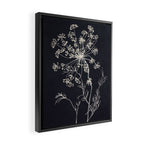 Minimalist Wild Plant 7 Black And White Framed Canvas Print Gallery Image 2