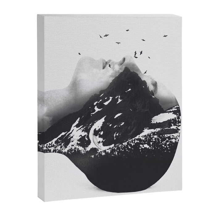 Mountain 46 Canvas Print Gallery Image 1
