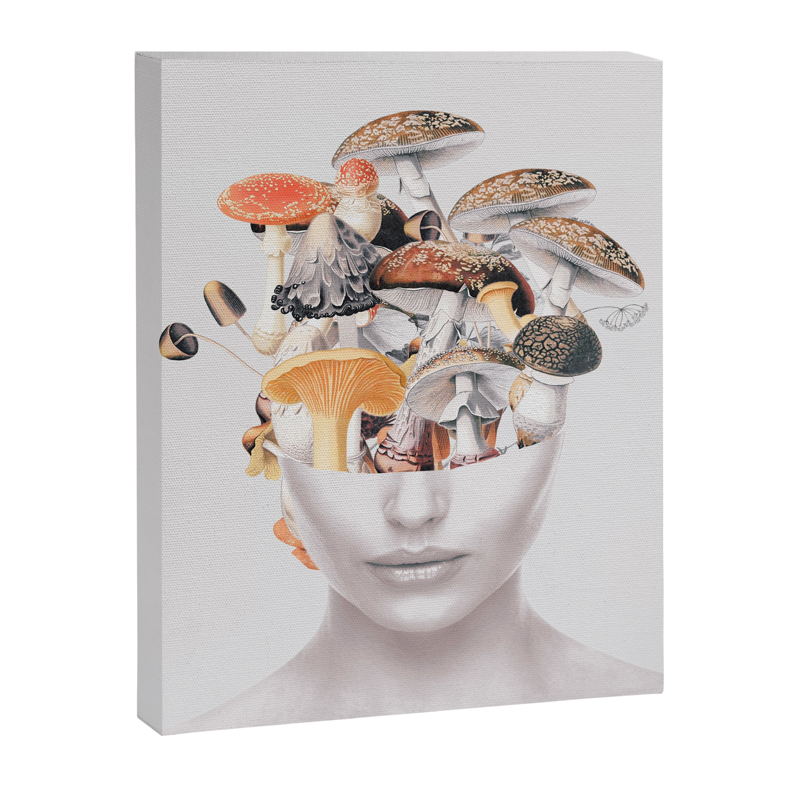 Mushroom Lady 3 Canvas Print Gallery Image 6