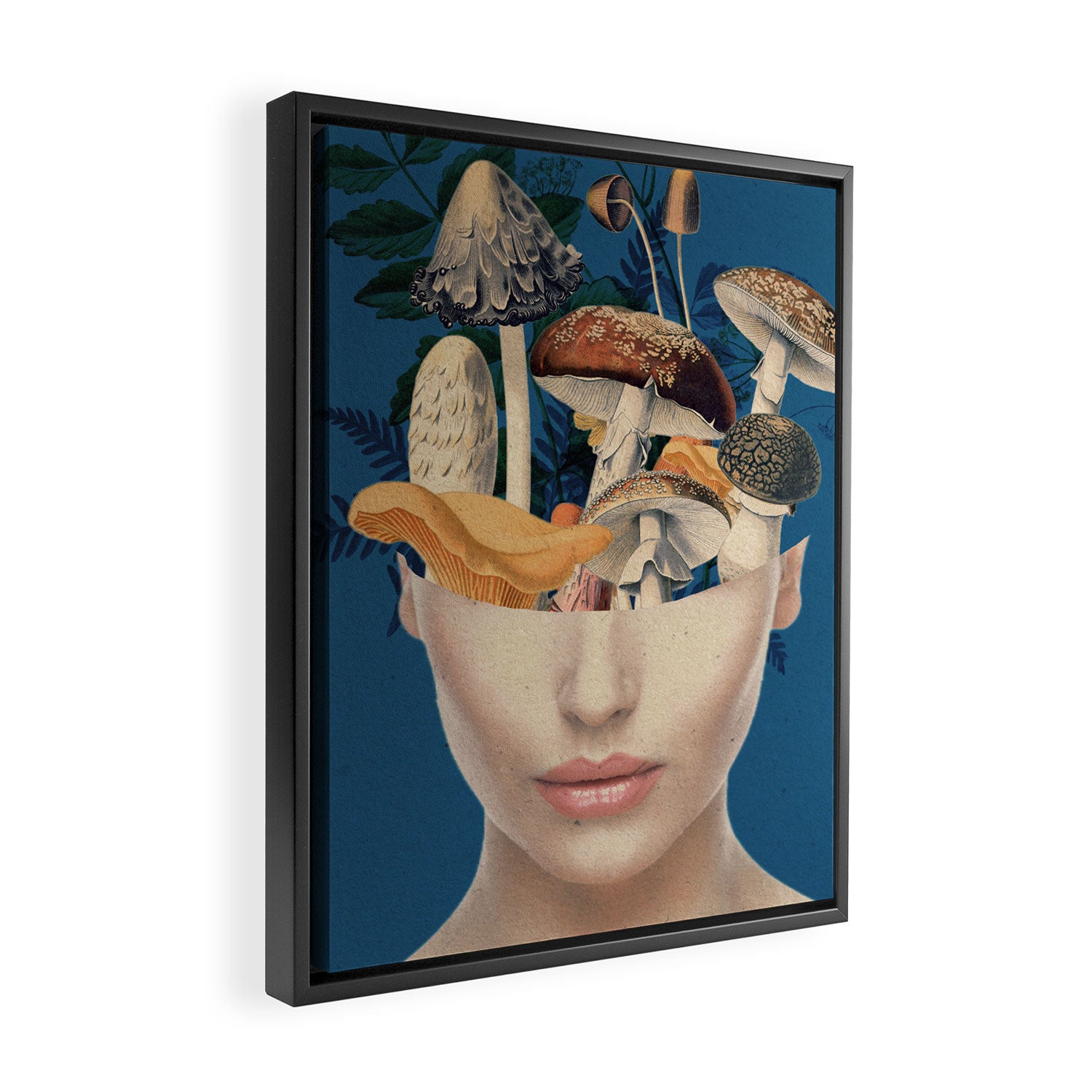 Mushroom Lady 7 Framed Canvas Print Gallery Image 2