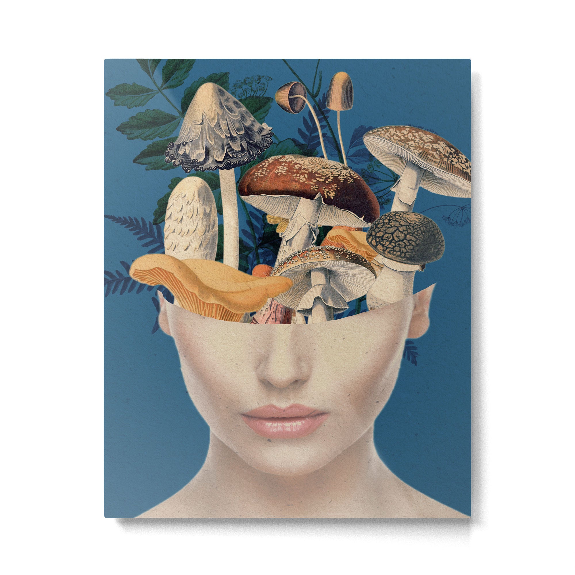 Mushroom Lady 7 Metal Print Gallery Image 4