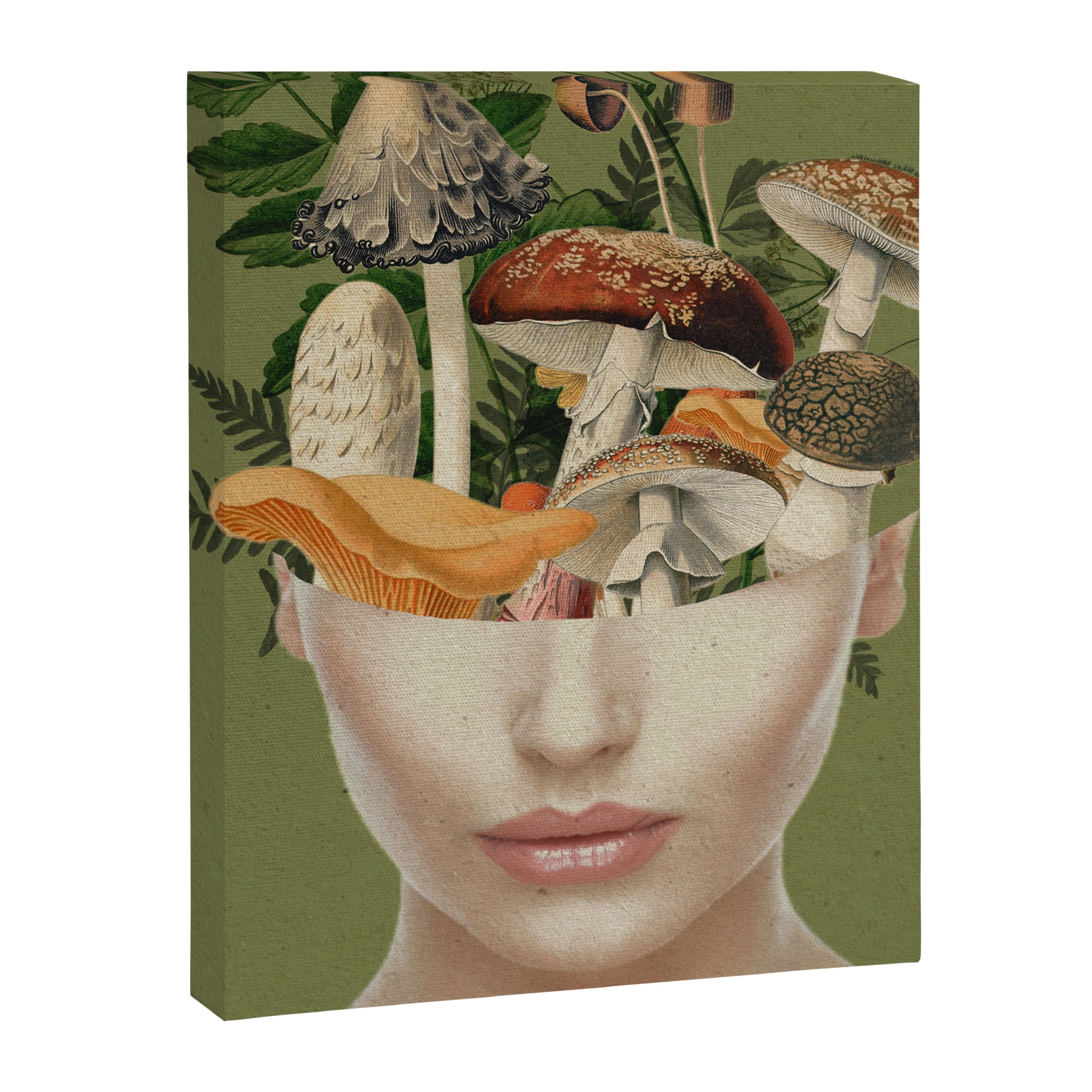 Mushroom Lady 9 Canvas Print Gallery Image 6