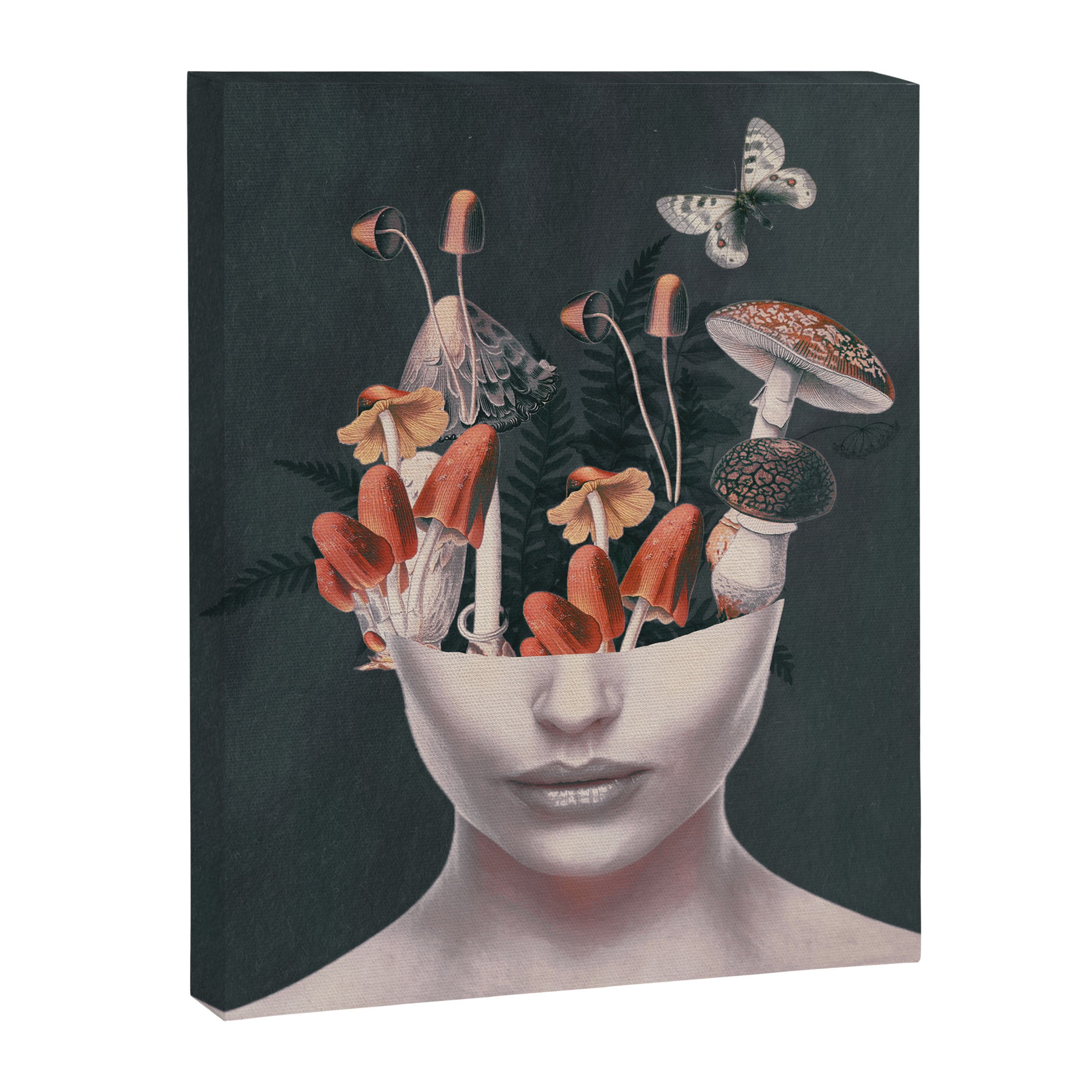 Mushroom Lady Canvas Print Gallery Image 6
