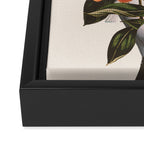 natural beauty-collage 2 Framed Canvas Print Gallery Image 3