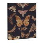 Night butterflies 2 Canvas Print Gallery Image 6