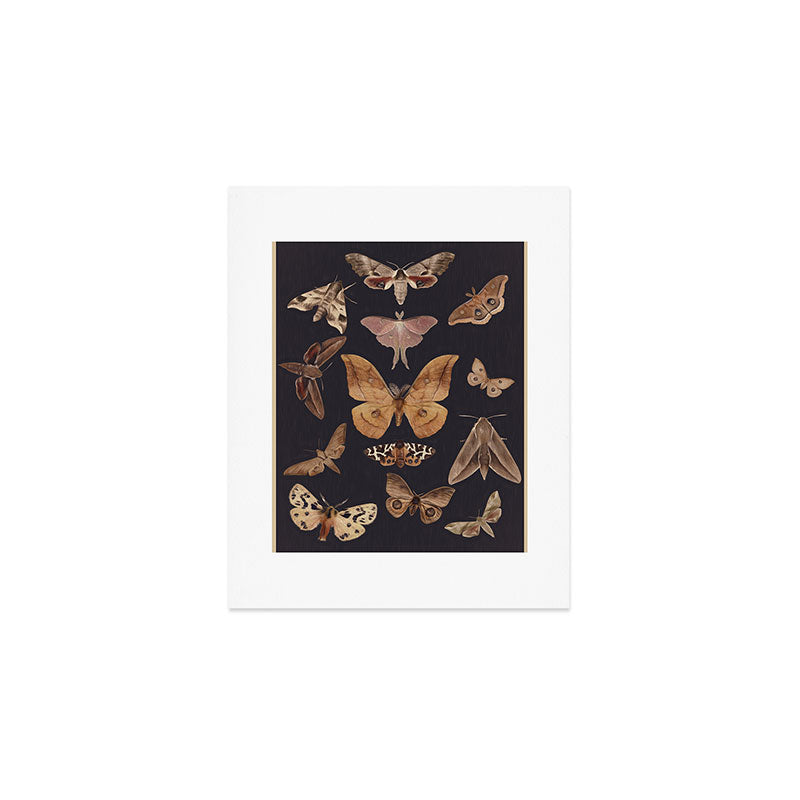 Night butterflies 2 Art Print Gallery Image 1
