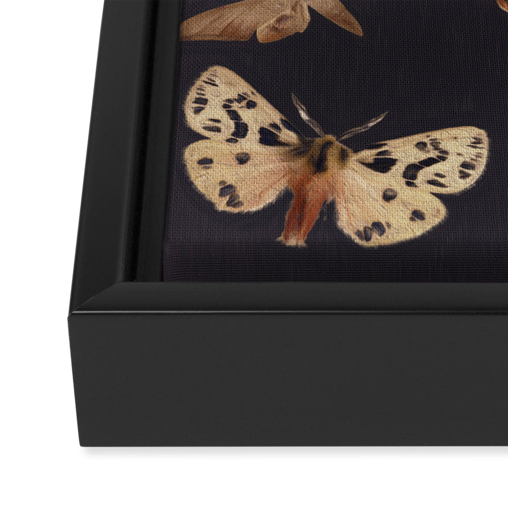 Night butterflies 2 Framed Canvas Print Gallery Image 3