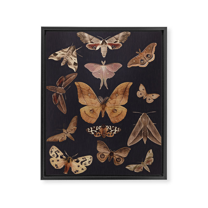 Night butterflies 2 Framed Canvas Print Gallery Image 6