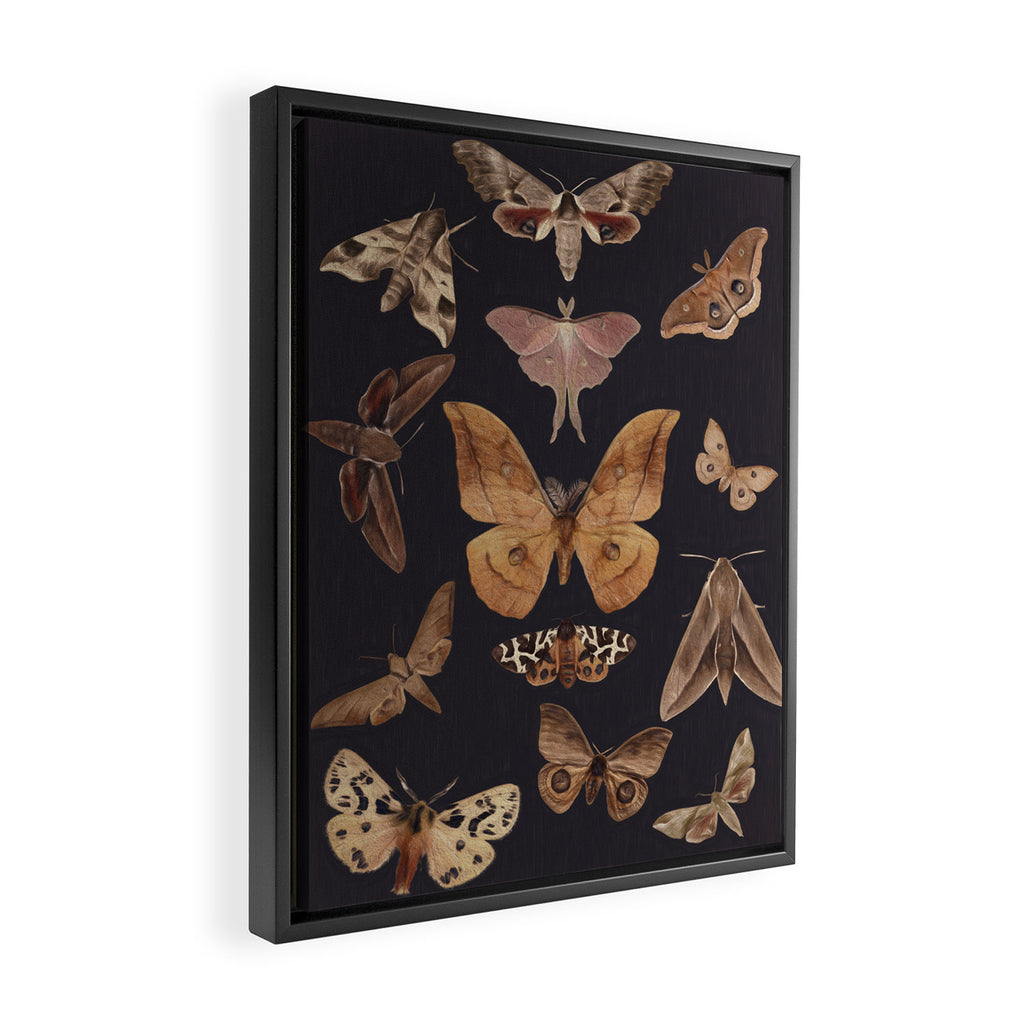 Night butterflies 2 Framed Canvas Print Gallery Image 2