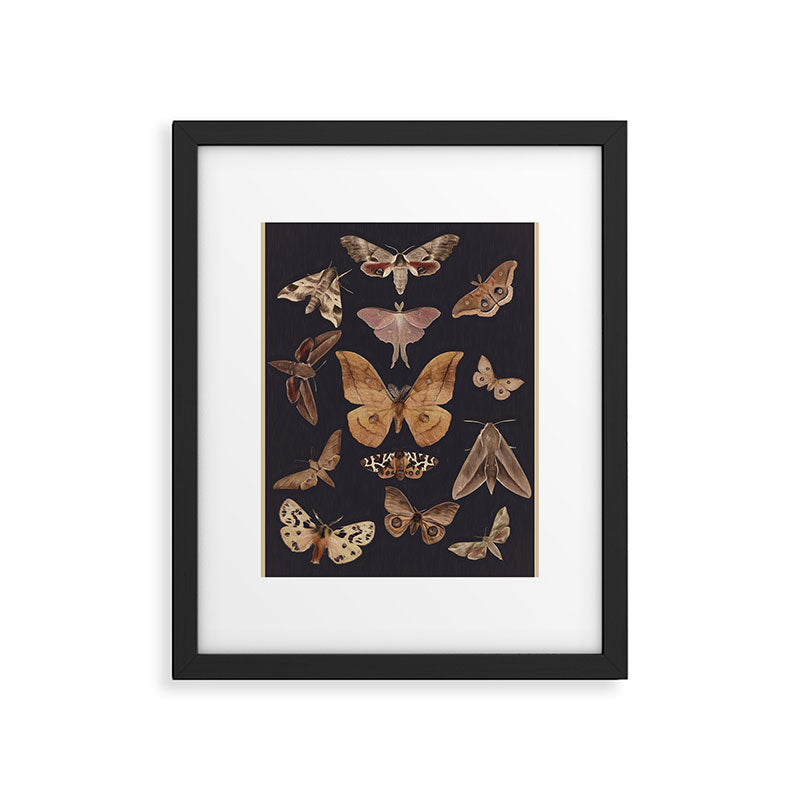 Night butterflies 2 Framed Art Print Gallery Image 5