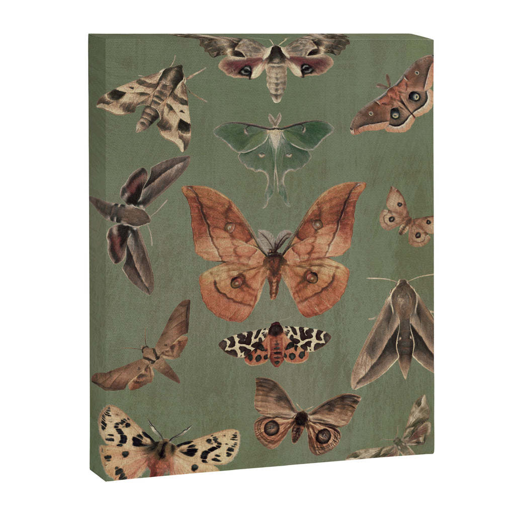 Night butterflies Canvas Print Gallery Image 6