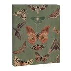 Night butterflies Canvas Print Gallery Image 6
