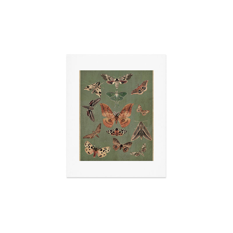 Night butterflies Art Print Gallery Image 1