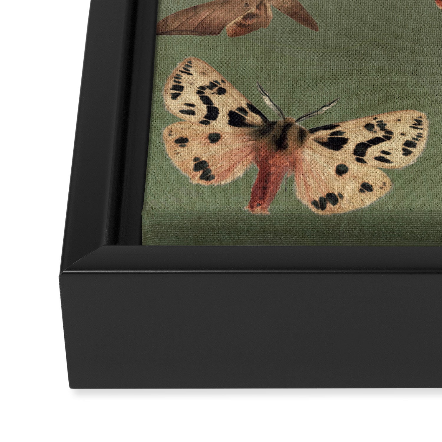 Night butterflies Framed Canvas Print Gallery Image 3
