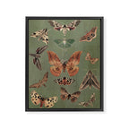 Night butterflies Framed Canvas Print Gallery Image 6