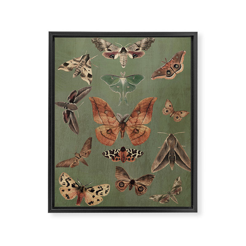 Night butterflies Framed Canvas Print Gallery Image 6
