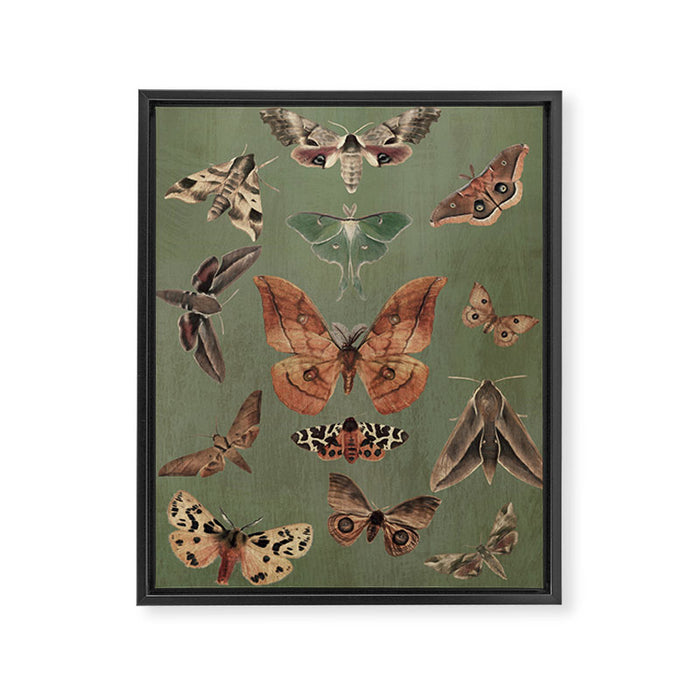 Night butterflies Framed Canvas Print Gallery Image 1