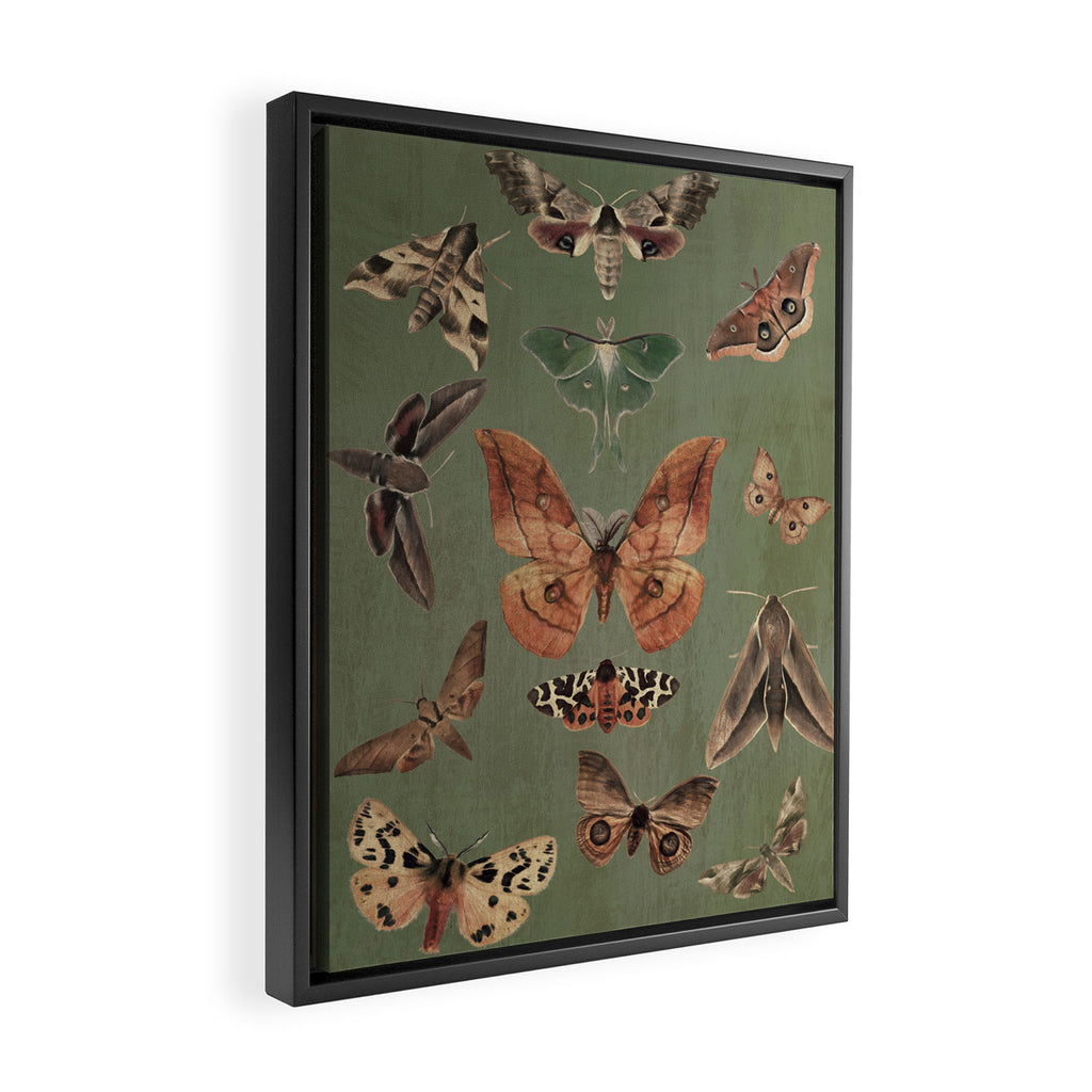 Night butterflies Framed Canvas Print Gallery Image 2