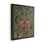 Night butterflies Framed Canvas Print Gallery Image 2