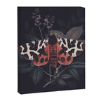 Night Butterfly Canvas Print Gallery Image 8