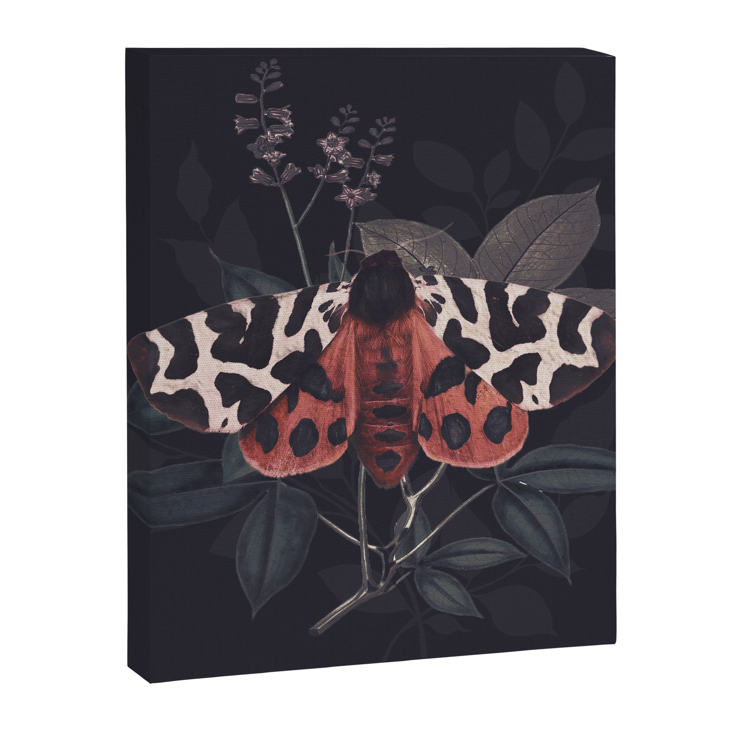 Night Butterfly Canvas Print Gallery Image 8