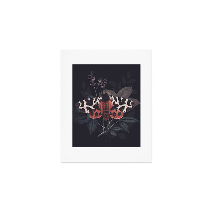 Night Butterfly Art Print Gallery Image 1