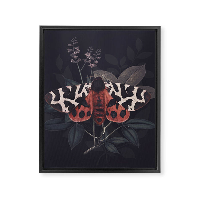 Night Butterfly Framed Canvas Print Gallery Image 1