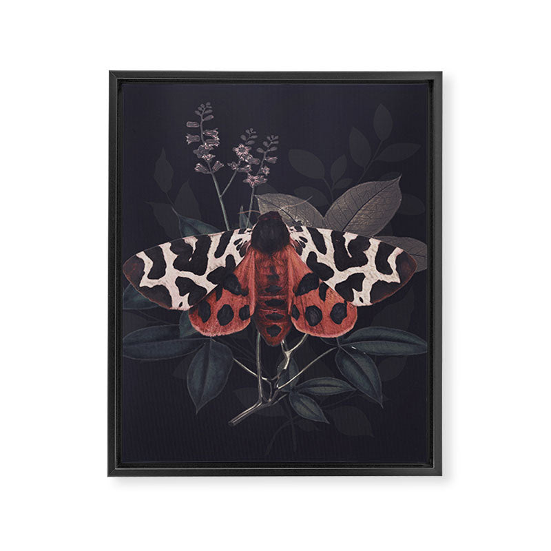 Night Butterfly Framed Canvas Print Gallery Image 8