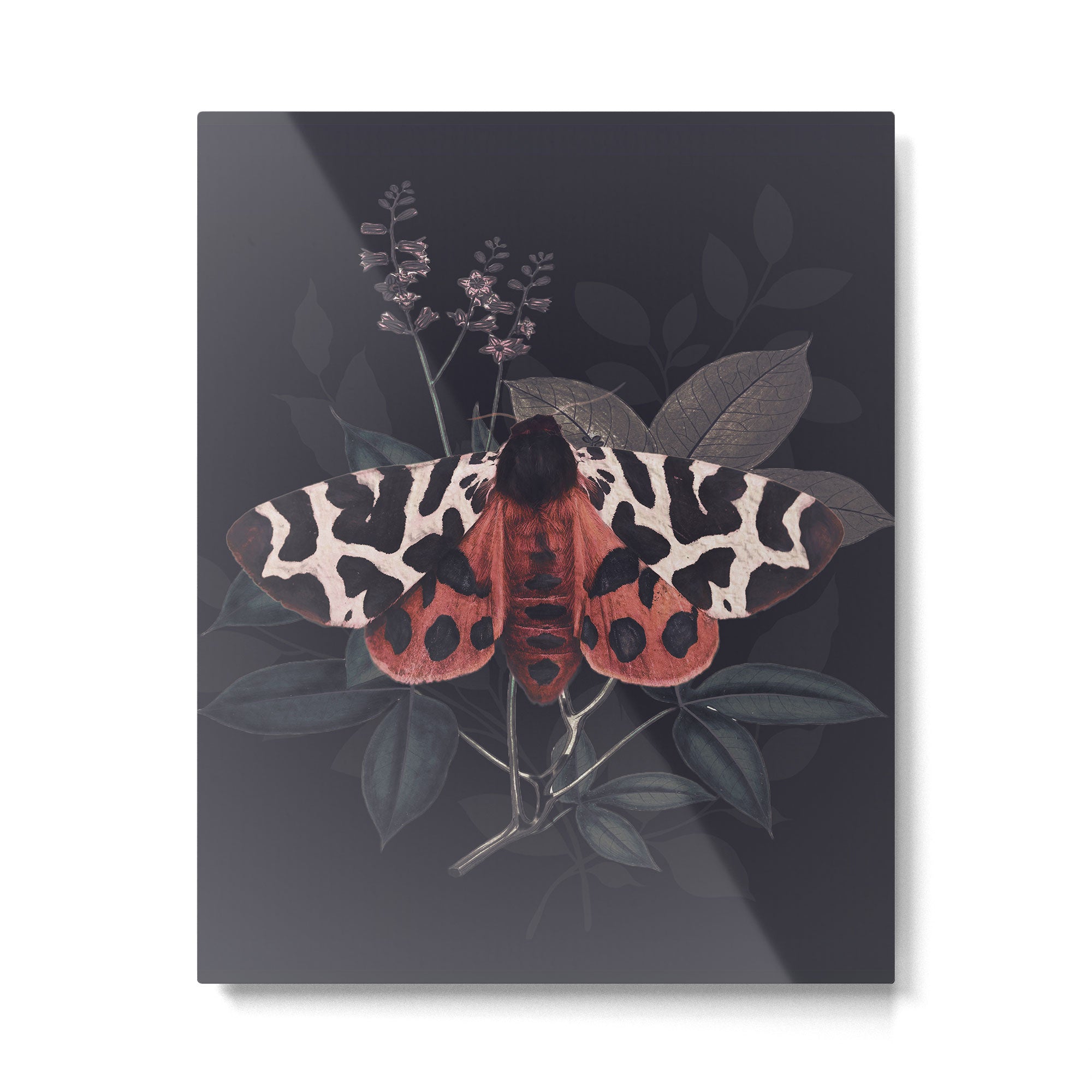 Night Butterfly Metal Print Gallery Image 6