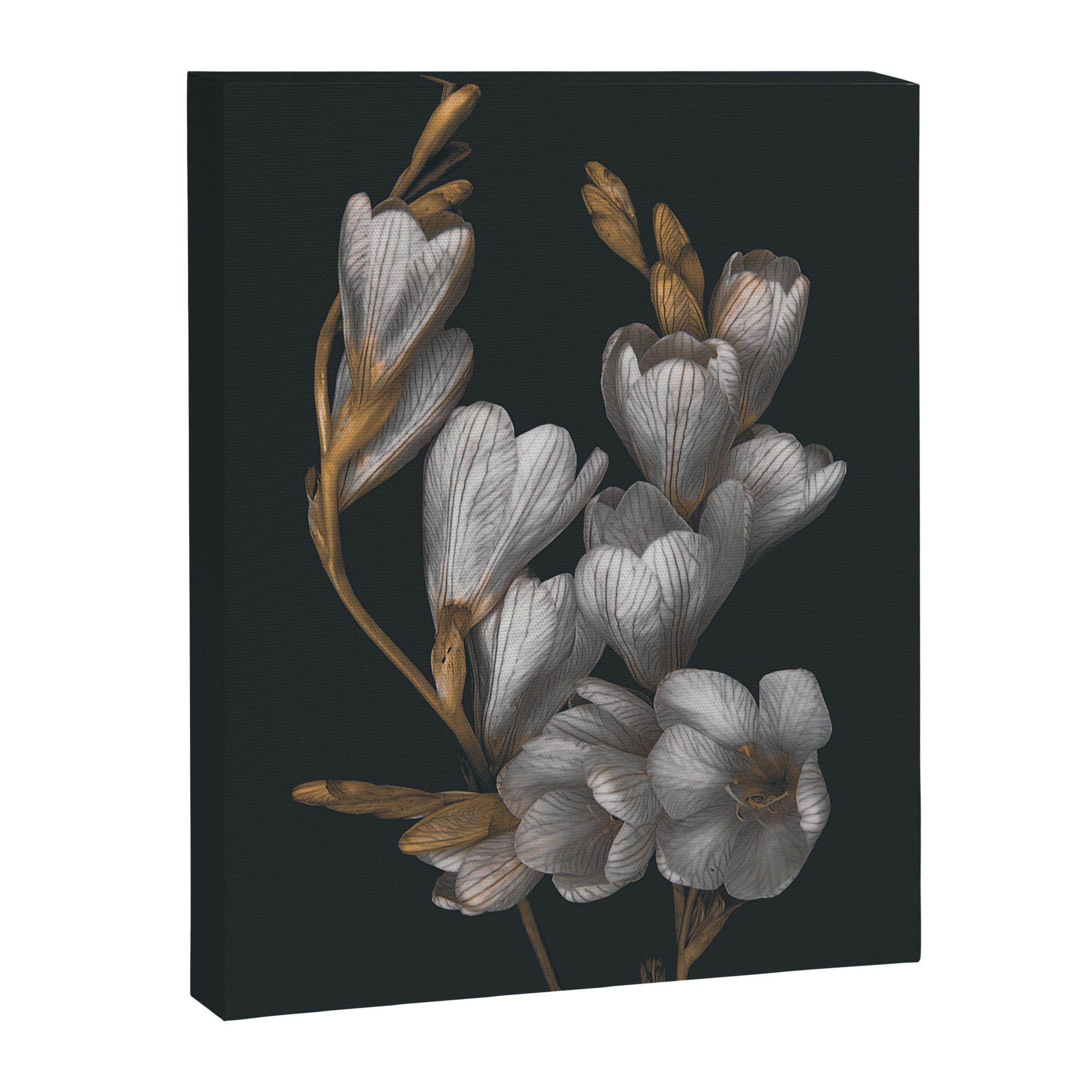Night Flowers Canvas Print Gallery Image 8