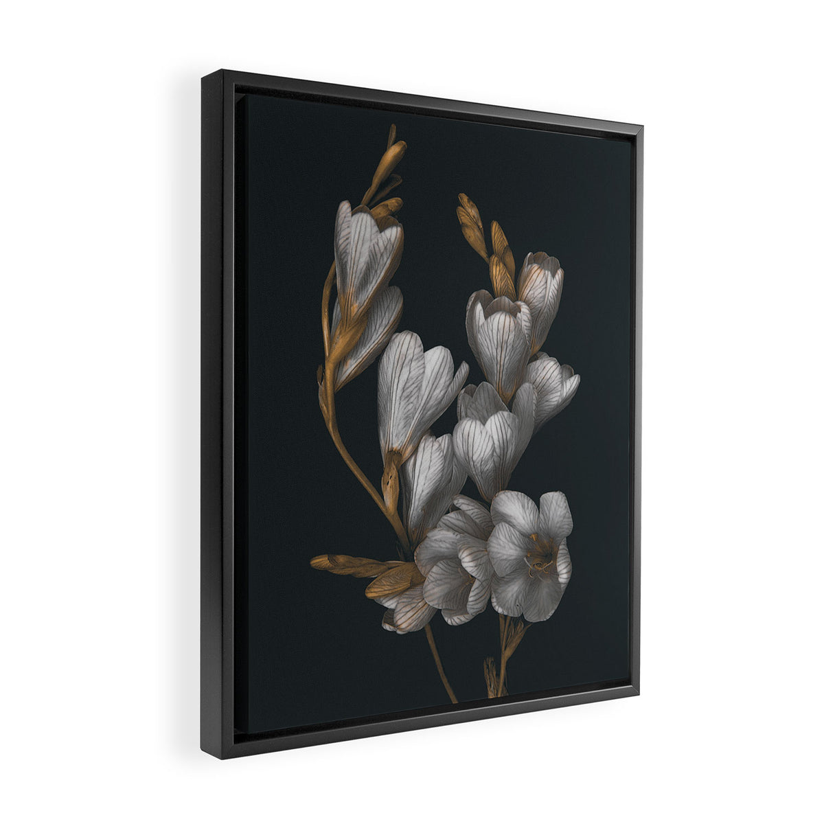 Night Flowers Framed Canvas Print Gallery Image 2