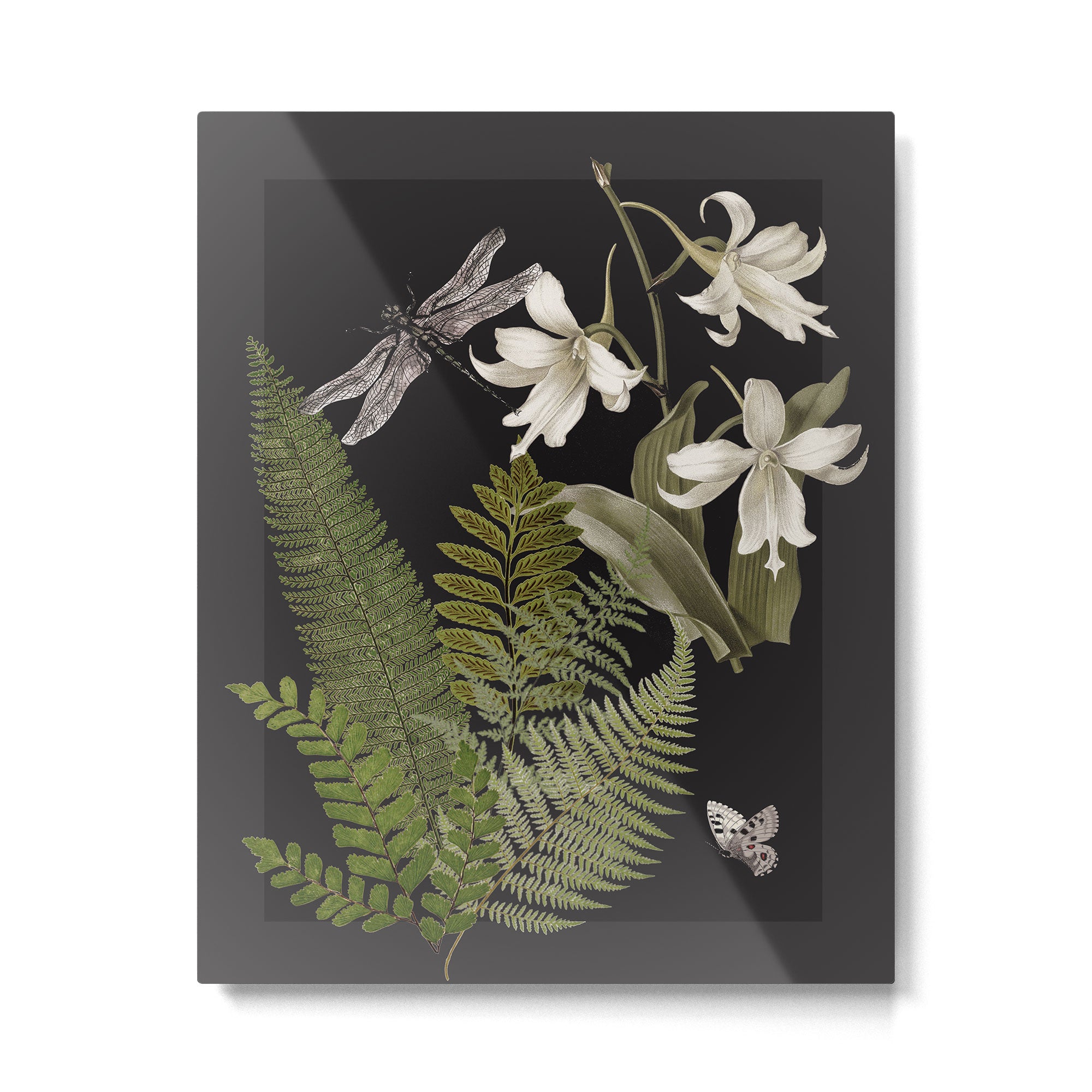 Night Garden 2 Metal Print Gallery Image 4