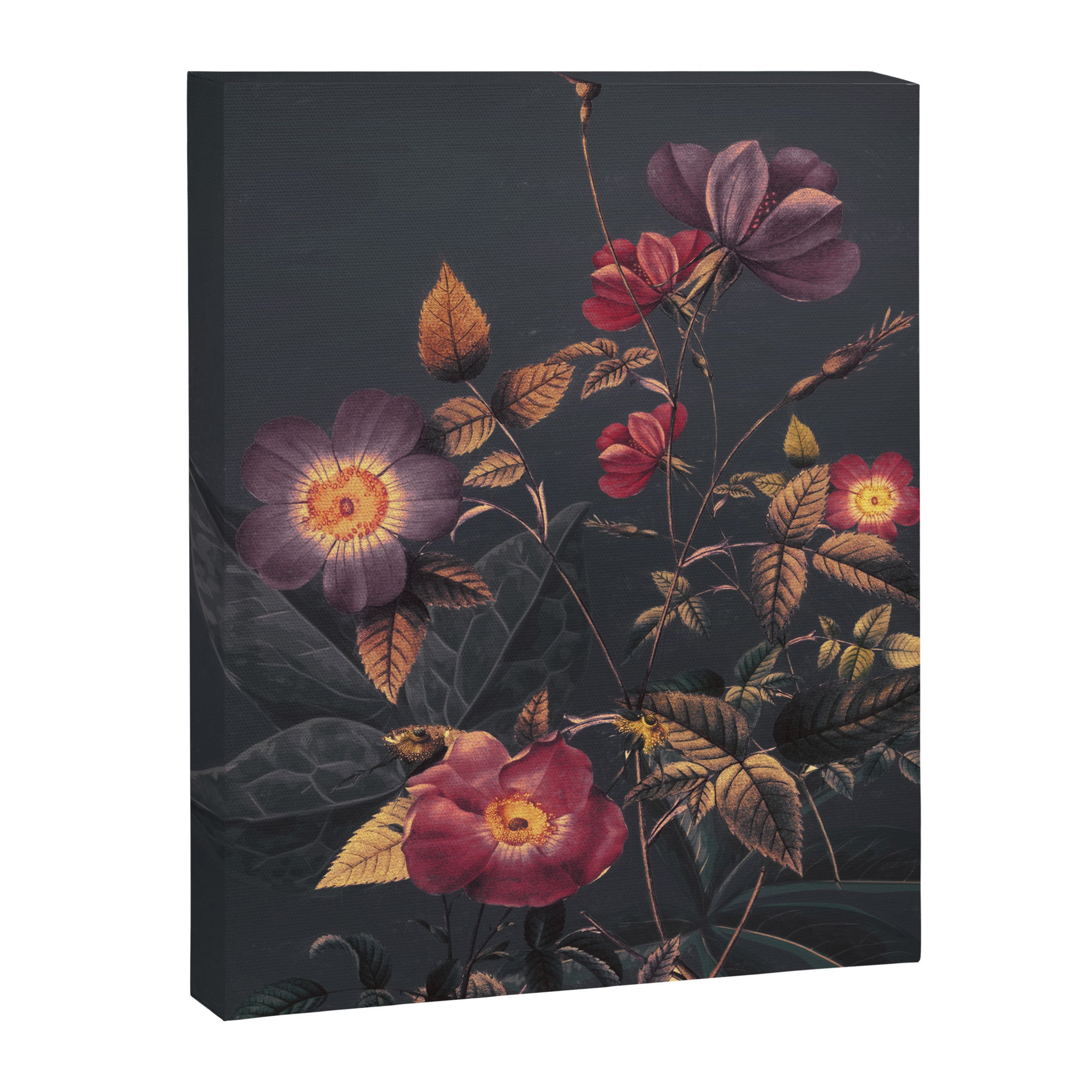 Night Garden 4 Canvas Print Gallery Image 6