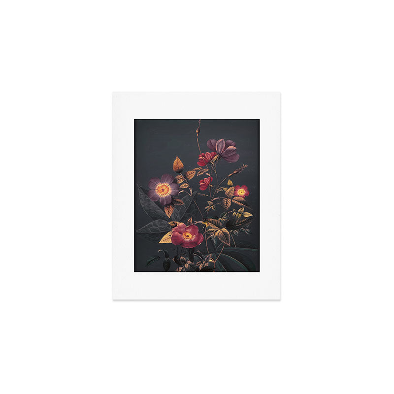 Night Garden 4 Art Print Gallery Image 1