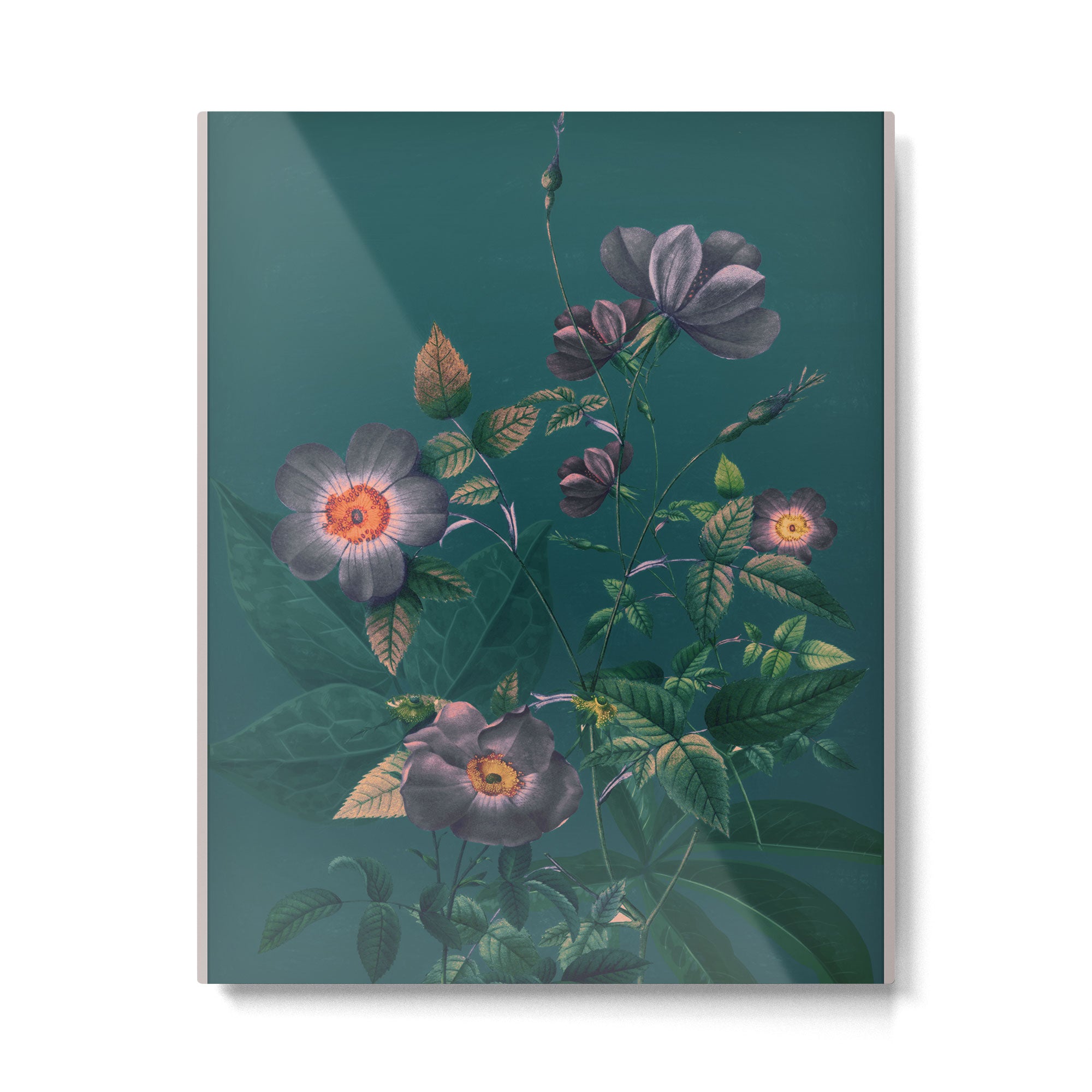Night Garden 5 Metal Print Gallery Image 4