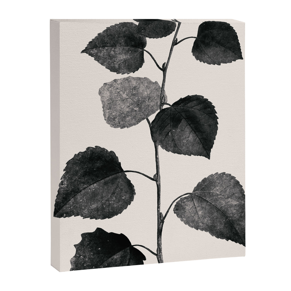 PLANT3a Canvas Print Gallery Image 6