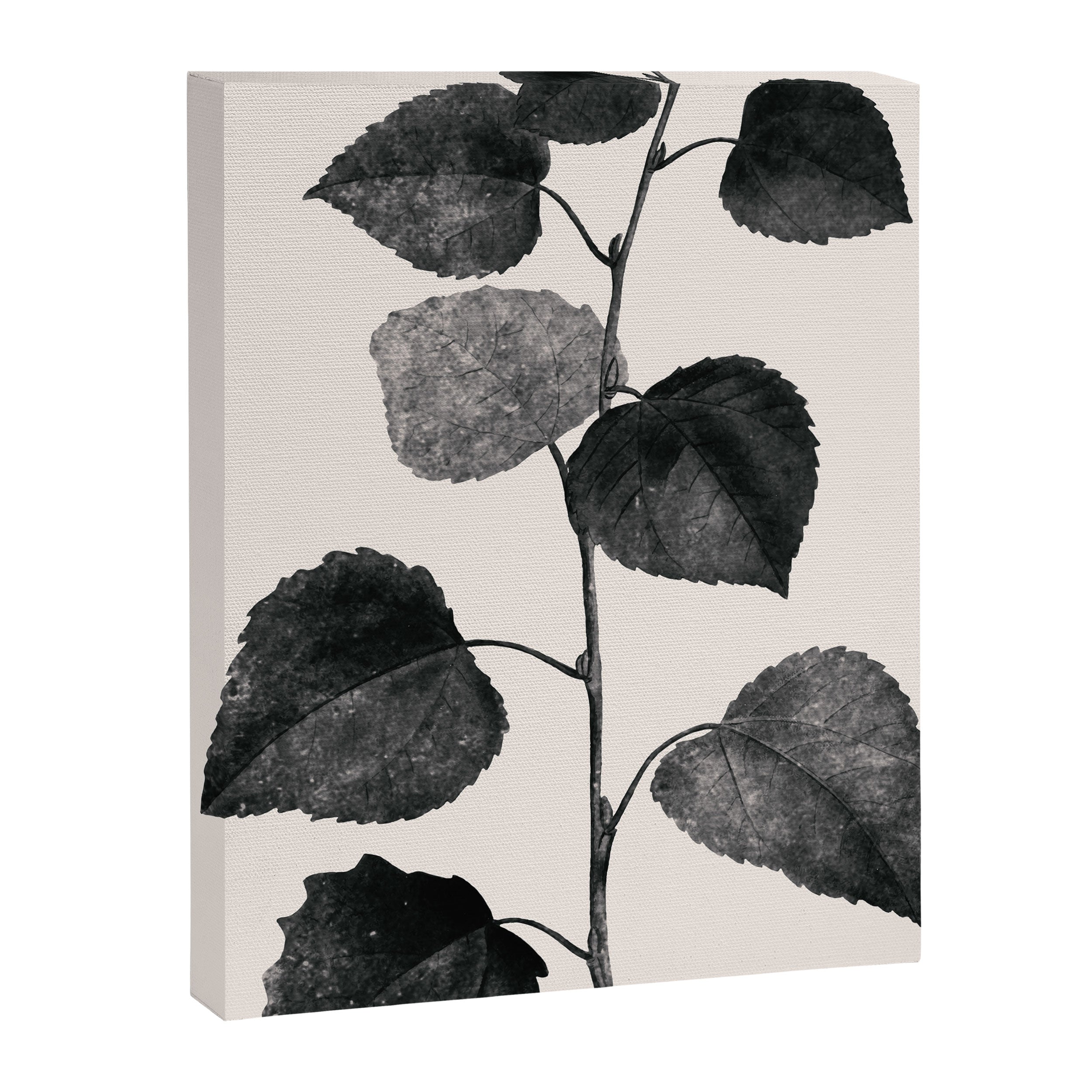 PLANT3a Canvas Print Gallery Image 6