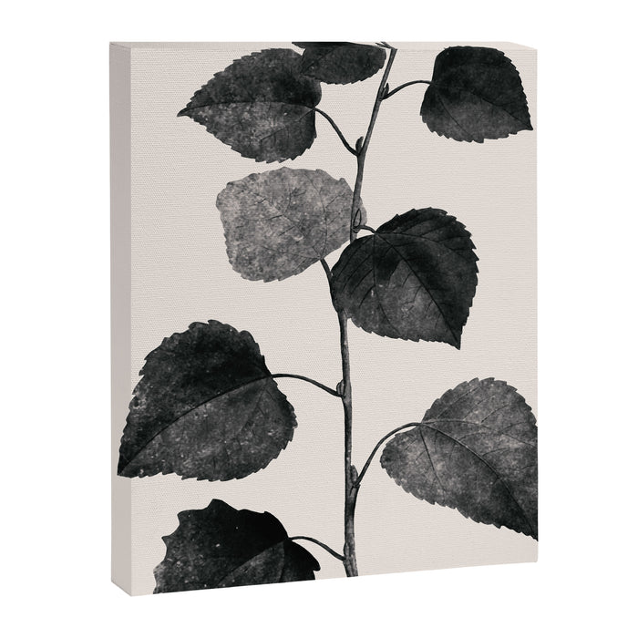 PLANT3a Canvas Print Gallery Image 1