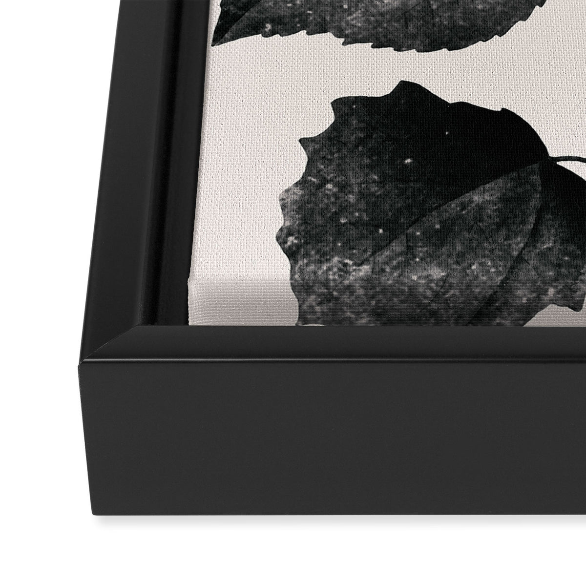PLANT3a Framed Canvas Print Gallery Image 3