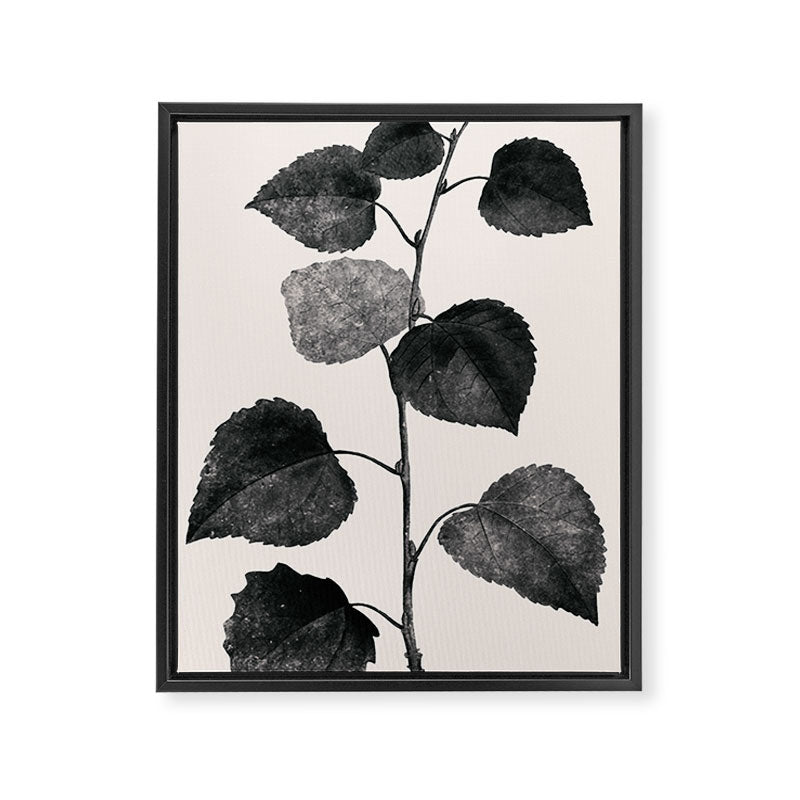 PLANT3a Framed Canvas Print Gallery Image 6