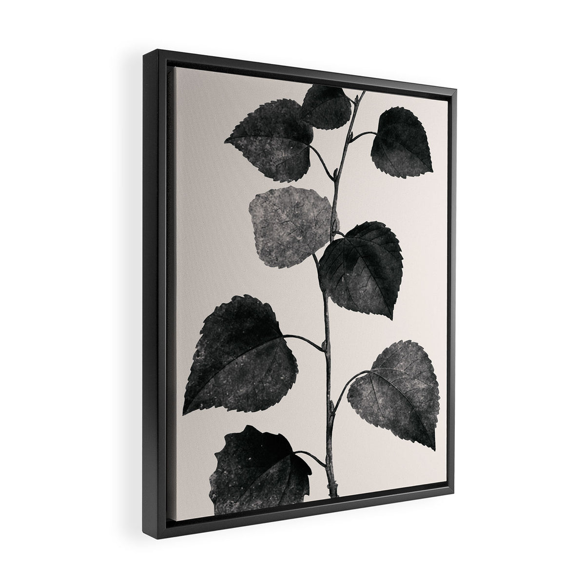 PLANT3a Framed Canvas Print Gallery Image 2